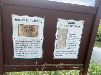 Steinernes Album/Steinernes Bilderbuch (Naumburg)